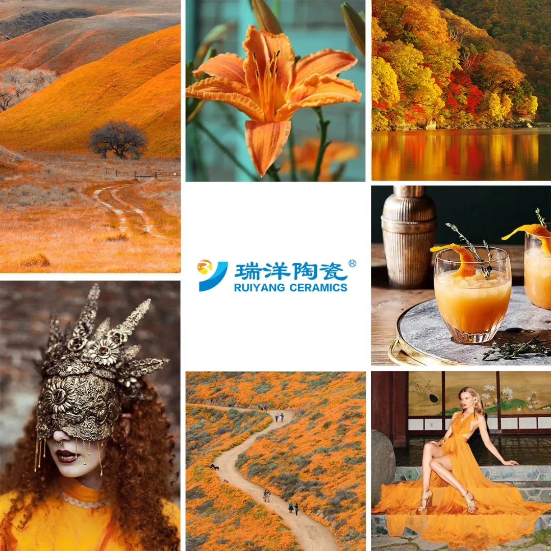 至尊白·真瓷抛，低调色彩构筑精致生活